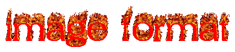 Image format